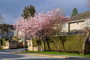 RICHMOND, Kanada - 31 Mart 2020: Kanada şehrindeki modern apartman evleri.