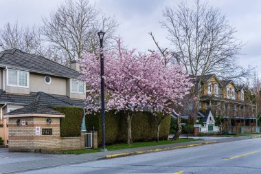 RICHMOND, Kanada - 31 Mart 2020: Kanada şehrindeki modern apartman evleri.