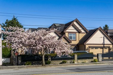 RICHMOND, CANADA - HAZİRAN 05, 2020: İlkbahar kiraz çiçekleri mevsiminde şehir manzarası güneşli bahar gününde çiçek açan güzellik.