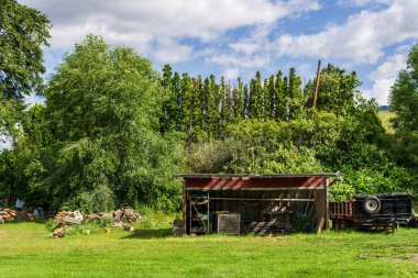 NARAMATA, CANADA - 2 Temmuz 2020: Yeşil çimenlikte eski kulübe ve karavan