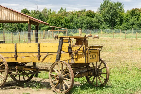 Old Wooden Yellow Cart Farm Green Field — Stock Photo, Image