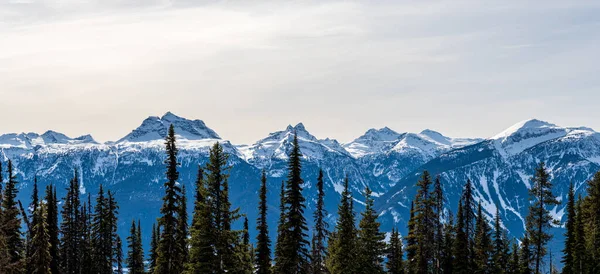 ब्रिटिश कोलंबिया कनाडा में नीले आकाश के खिलाफ सुंदर बर्फ से ढके हुए कोलंबिया पहाड़ों के सामने पेड़ — स्टॉक फ़ोटो, इमेज
