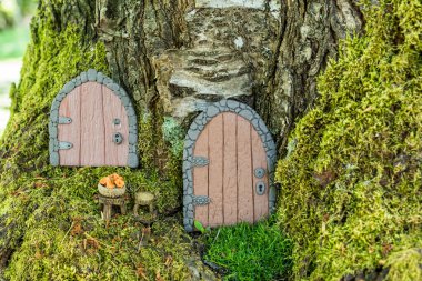 Ağaçtaki polimer çamurdan yapılmış küçük kapılar peri evi gibi yakın..