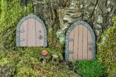 Ağaçtaki polimer çamurdan yapılmış küçük kapılar peri evi gibi yakın..