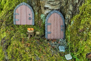 Ağaçtaki polimer çamurdan yapılmış küçük kapılar peri evi gibi yakın..