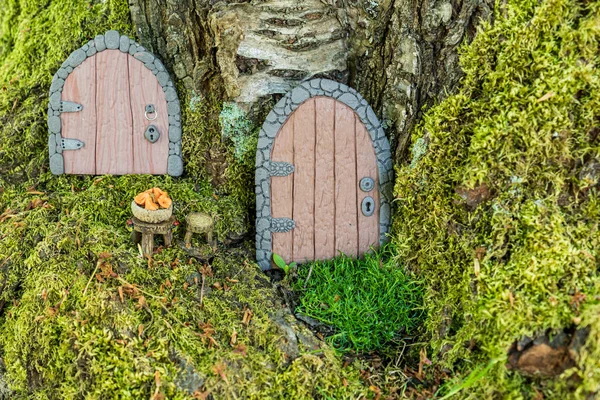 Ağaçtaki polimer çamurdan yapılmış küçük kapılar peri evi gibi yakın..