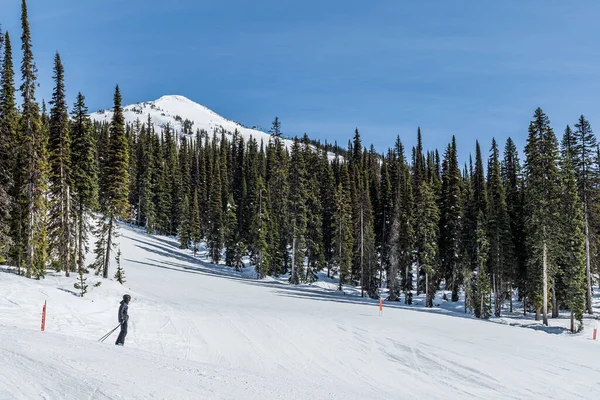 Revelstoke Canada Mars 2021 Skidanläggning Spår Täckt Snö Och Höga — Stockfoto