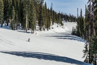 REVELSTOKE, CANADA - 17 Mart 2021: Karla kaplı yokuş aşağı kayak yolu ve arka planda yüksek yeşil ağaçlar.
