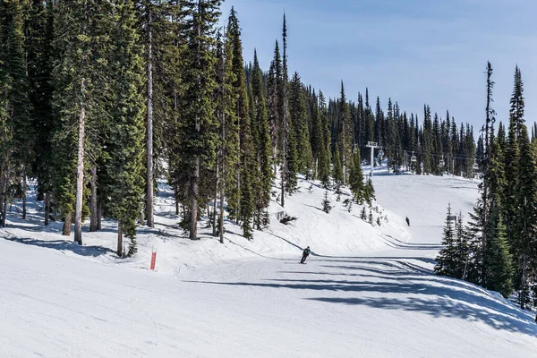 Revelstoke Canadá Marzo 2021 Personas Pista Esquí Alpino Con Árboles — Foto de Stock