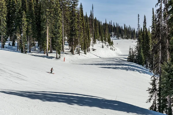 REVELSTOKE, CANADA - 17 Mart 2021: Karla kaplı yokuş aşağı kayak yolu ve arka planda yüksek yeşil ağaçlar.