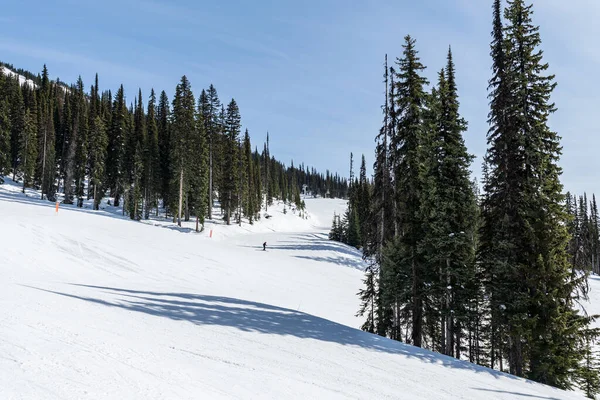 Skidanläggning Spår Täckt Snö Och Höga Gröna Träd Revelstoke Brittisk — Stockfoto