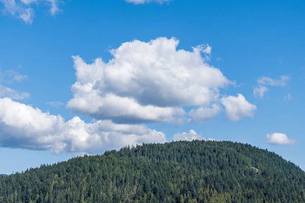 Green Foliage Top High Hill Forest Background View Blue Sky Royalty Free Stock Images