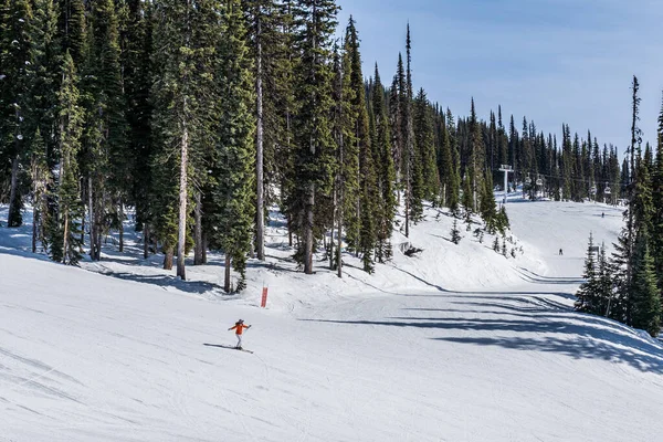 Revelstoke Canada Mars 2021 Personer Utförsåkning Med Höga Gröna Träd — Stockfoto