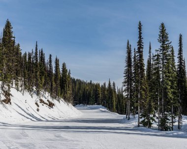 Kar ve uzun yeşil ağaçlarla kaplı kayak merkezi yolu Britanya Kolombiya 'sının keyfini çıkarıyor..