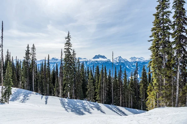 Skidort spår täckt av snö och höga gröna träd berg i bakgrunden revelstoke brittisk Columbia — Stockfoto