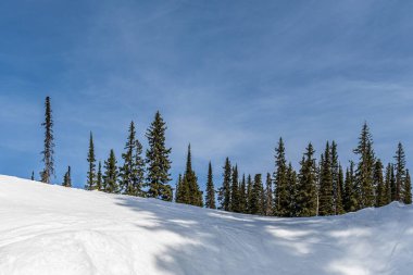 Dağlarda büyük bir kar tepesi. Sonsuza dek yeşil ağaçlar ve mavi gökyüzü..