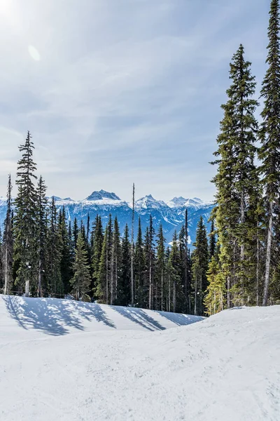Skidort spår täckt av snö och höga gröna träd berg i bakgrunden revelstoke brittisk Columbia — Stockfoto