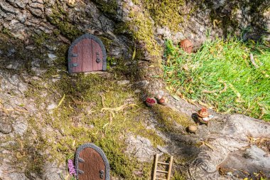 Elf evi üst görünümü Ağaçtaki polimer kil küçük kapı