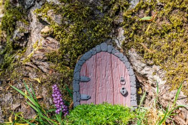 Ağaçtaki polimer çamurdan yapılmış bir sepetin içindeki küçük kapılar ve böğürtlenler peri evi gibi yakın.