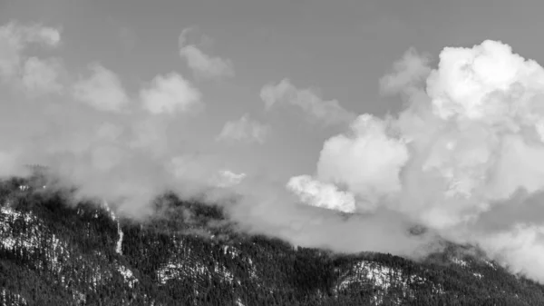 Foresta Invernale Bianco Nero Sulla Montagna Con Cielo Blu Nuvole — Foto Stock