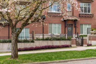 VANCOUVER, CANADA - Nisan 05, 2025: Banliyölerde Sakura çiçekleri. Sokak, evler, çiçek açan ağaçların yanındaki yol..