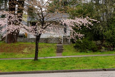 VANCOUVER, CANADA - 08 Nisan 2025: Vancouver, British Columbia 'da özel bir ev..