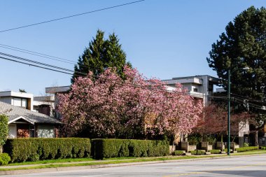 VANCOUVER, CANADA - 10 Nisan 2025: Vancouver, British Columbia 'da özel bir ev..