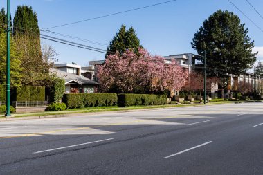 VANCOUVER, Kanada - 10 Nisan 2025: Oak caddesindeki yeni kasaba evleri