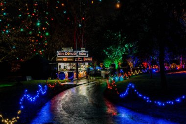 VANCOUVER, CANADA - 27 Kasım 2025: VanDusen Botanik Bahçesi ışıklı süslemeler parlayan ağaçlar ve patikalar Noel festivali