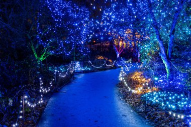 VANCOUVER, CANADA - 27 Kasım 2025: VanDusen Botanik Bahçesi ışıklı süslemeler parlayan ağaçlar ve patikalar Noel festivali