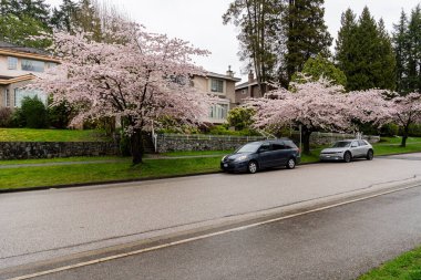 VANCOUVER, CANADA - 08 Nisan 2025: Vancouver, British Columbia 'da araba ve özel ev.