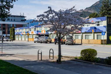 SQUAMISH, CANADA - 13 Nisan 2025: Dağlık mavi gökyüzünde küçük bir kasabada şehir yolları ve binalar