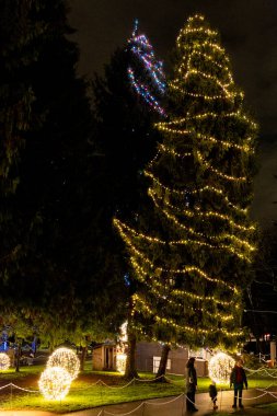 BURNABY, CANADA - 06 Aralık 2025: Burnaby Village Müzesi 'ndeki Noel Işıkları Köyü parlayan ağaç ve patikaları aydınlatıyor.