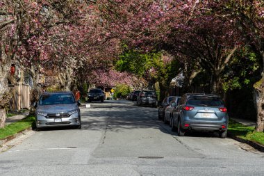 VANCOUVER, CANADA - APRIL 15, 2025: Car parked on a street in front of residential houses on a sunny spring day