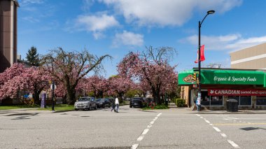 VANCOUVER, CANADA - 20 Nisan 2025: Şehir yerleşim yerlerindeki modern şehir.