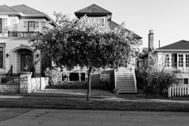 VANCOUVER, CANADA - MAYIS 01, 2025: Kuzey Amerika 'da baharda banliyöde siyah beyaz evler. Güzel manzaralı lüks evler. Güzel ağaçları olan şehir caddesi.