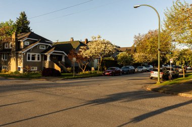 VANCOUVER, Kanada - 01 Mayıs 2025: Kuzey Amerika 'daki Spring banliyösündeki evler. Güzel manzaralı lüks evler. Güzel ağaçları olan şehir caddesi.