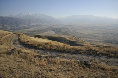 kıllı kök glade içinde büyüyen