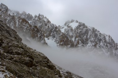 kıllı kök glade içinde büyüyen
