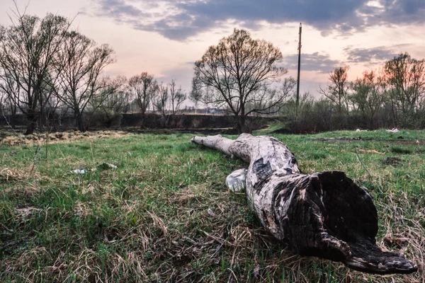 glade ağaç ile çöp