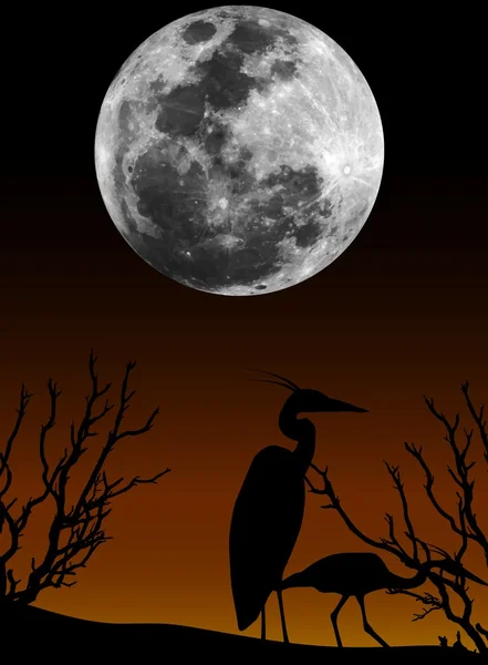 Dos palomas sentadas en la rama y besándose en luna llena — Archivo Imágenes Vectoriales