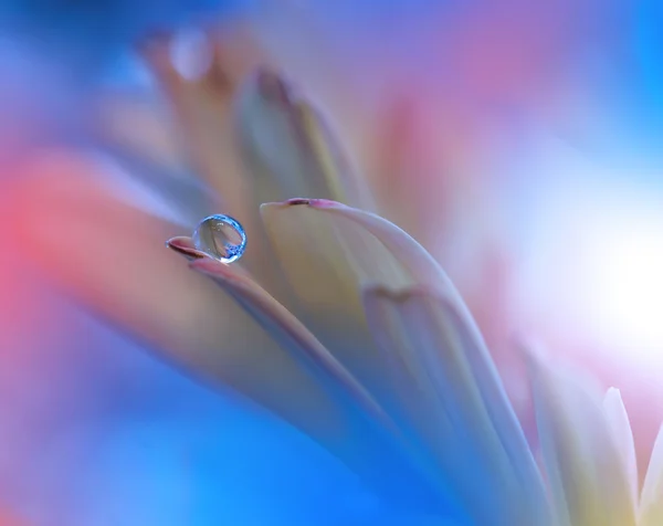 Květ s Waterdrop.Beautiful povahy Background.Blue Colors.Abstract makro fotografie. — Stock fotografie