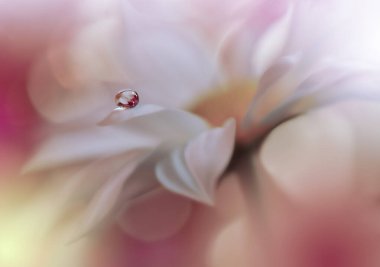 Sihirli çiçeklerin güzel makro görüntüsü. Sınır çizimi. Sihirli ışık. Olağanüstü yakın çekim makro fotoğraf. Kavramsal soyut resim. Violet ve Pembe Arkaplan. Fantezi Sanat. Yaratıcı Duvar Kağıdı..