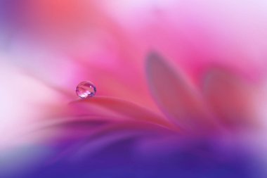 Sihirli çiçeklerin güzel makro görüntüsü. Sınır çizimi. Sihirli ışık. Olağanüstü yakın çekim makro fotoğraf. Kavramsal soyut resim. Violet ve Pembe Arkaplan. Fantezi Sanat. Yaratıcı Duvar Kağıdı..