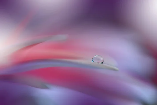 Piękny Makro Shot Magicznych Kwiatów Projekt Sztuki Przygranicznej Magiczne Światło — Zdjęcie stockowe