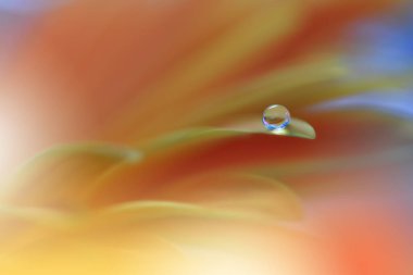 Sihirli çiçeklerin güzel makro görüntüsü. Sınır çizimi. Sihirli ışık. Olağanüstü yakın çekim. Kavramsal soyut resim. Sarı ve Turuncu Arkaplan. Fantezi Sanatı. Yaratıcı Duvar Kağıdı..