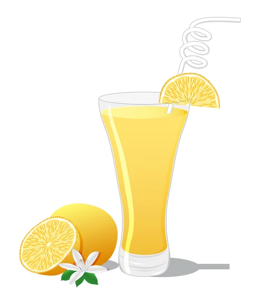 Screwdriver cocktail with a slice of orange — Stock Vector