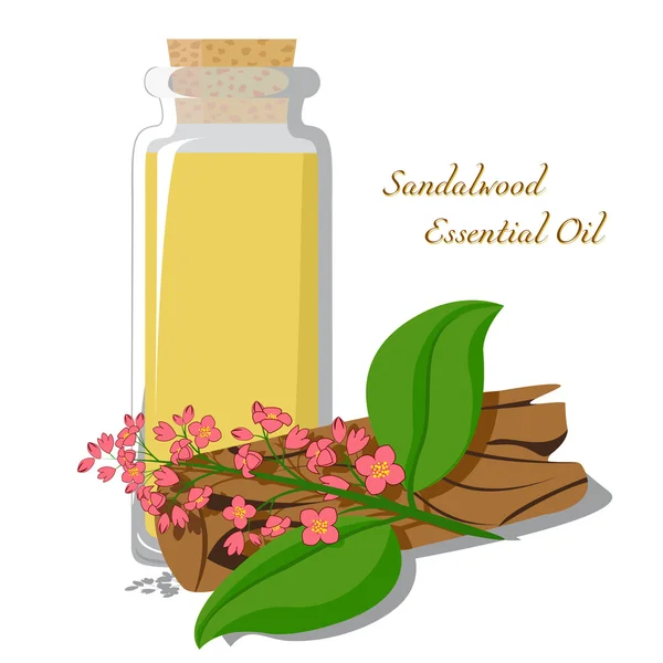 Ätherisches Öl aus Sandelholz — Stockvektor