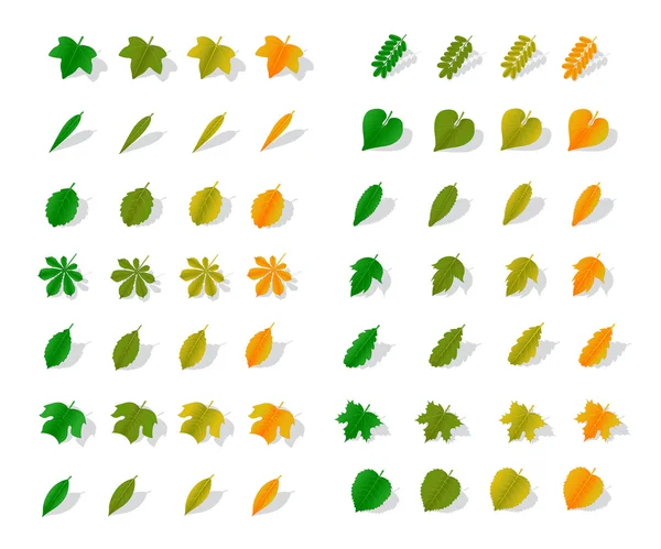 Symbole gelbe Blätter — Stockvektor