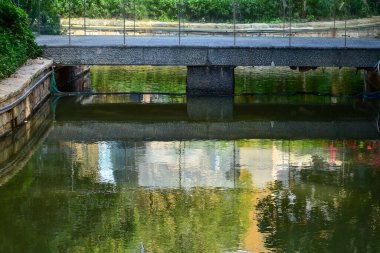 Gölet ve bahçeli park sahnesi. Doğa ve seyahat sahnesi. 